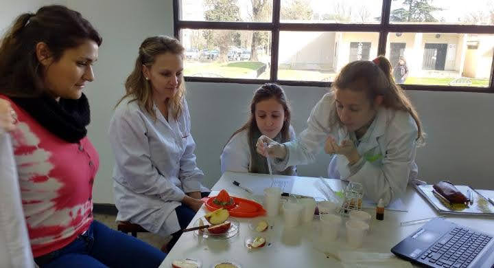 Actividad práctica de laboratorio. Cortesía de la Esp. Graciela Raffaini