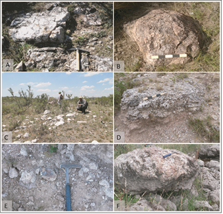 Fuentes de materias primas líticas localizadas en el área de estudio.