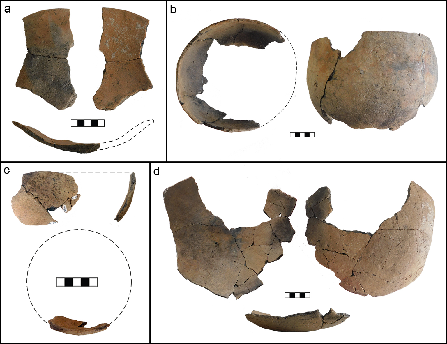 Fragmentos cerámicos y siluetas inferidas.